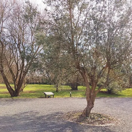 Apartment 4 Minutes From Sainte-mere-eglise - Independent On First Floor Of Big House With Garden And Heated Pool Opened If Weather Is Ok *