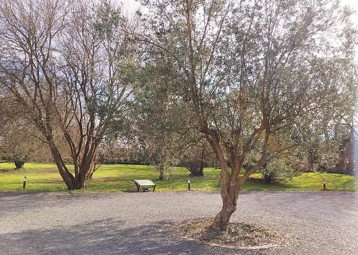 Lägenhet 4 Minutes From Sainte-mere-eglise - Independent On First Floor Of Big House With Garden And Heated Pool Opened If Weather Is Ok *